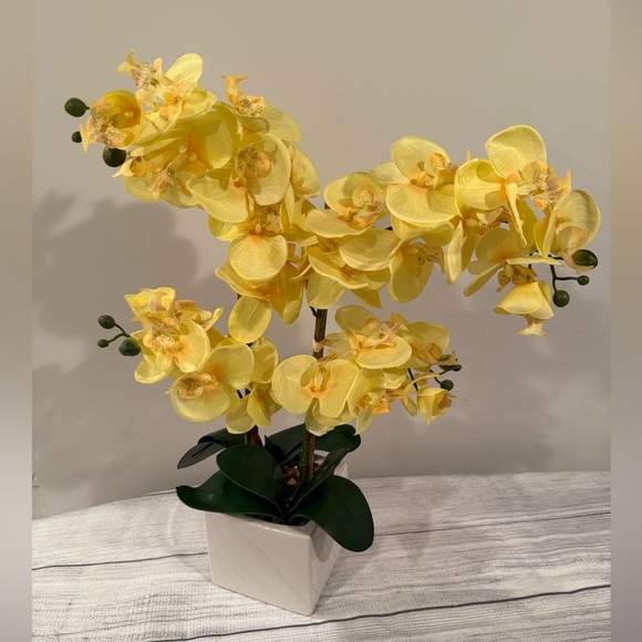 Yellow Orchid Arrangement in White Planter - Picture 9 of 9
